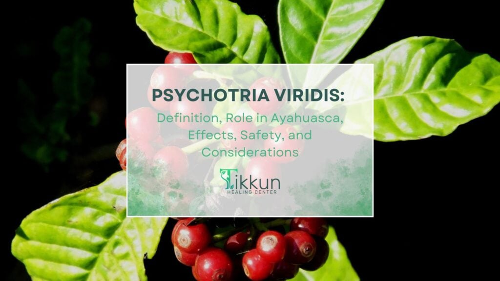 Psychotria Viridis Definition, Role in Ayahuasca, Effects, Safety, and Considerations