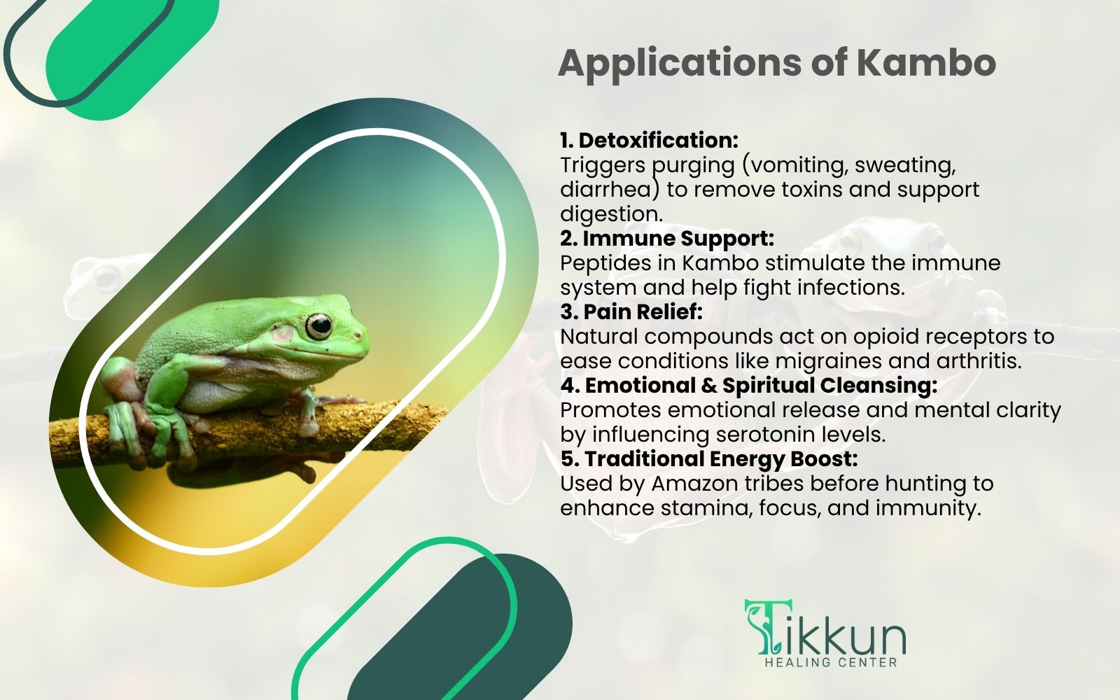 Kambo: Definition, Ingredients, Application, Side Effects, Cost ...